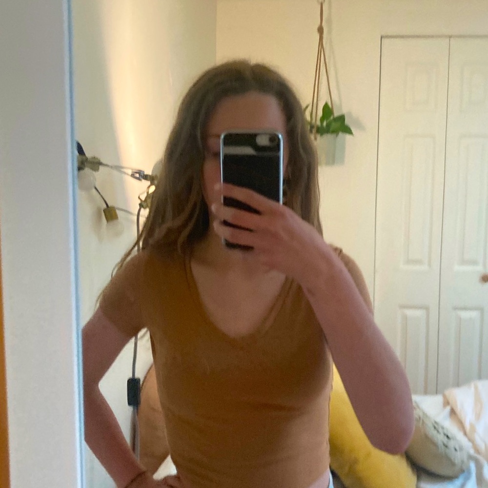 Wild Fable brown v neck crop top